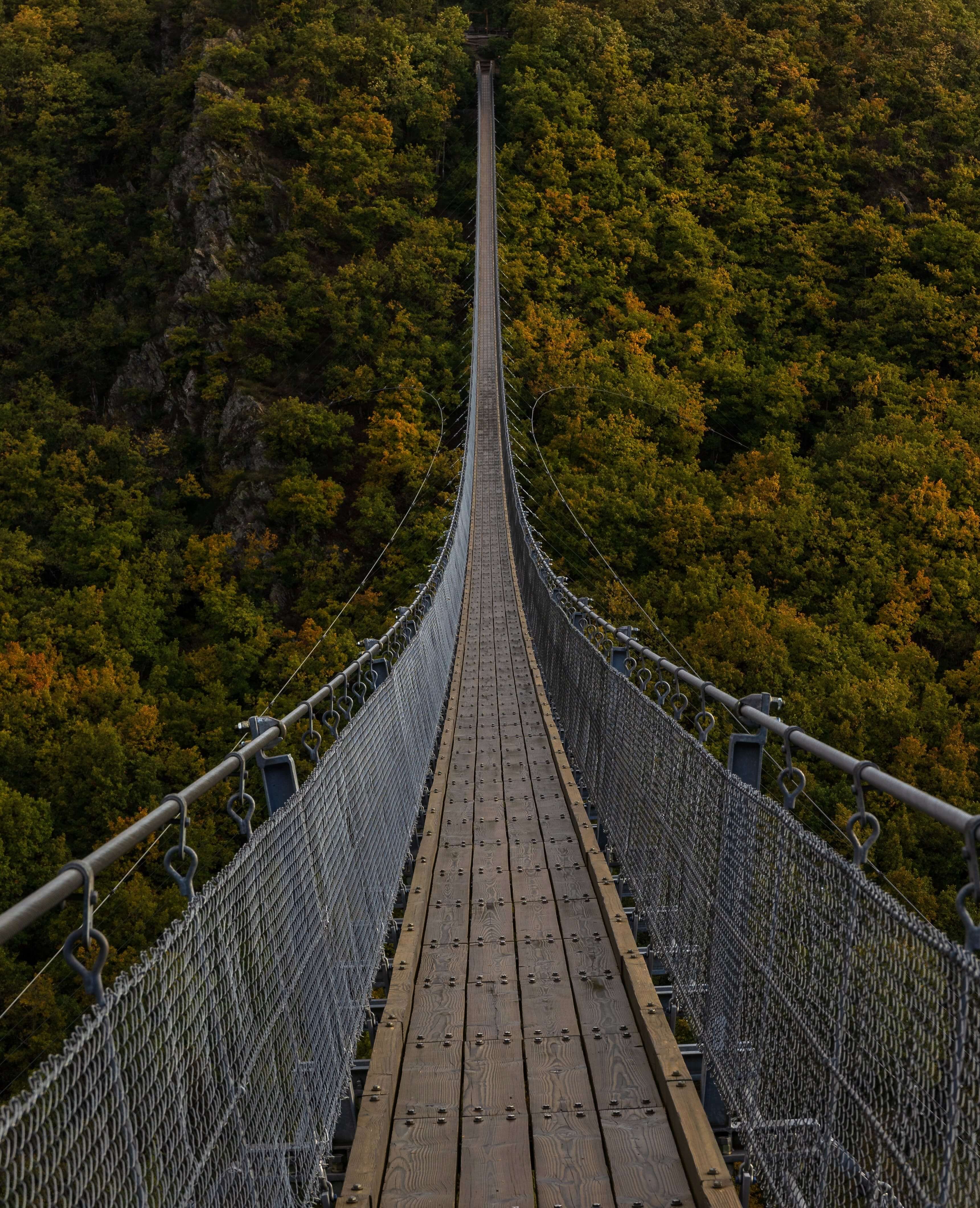 Long bridge